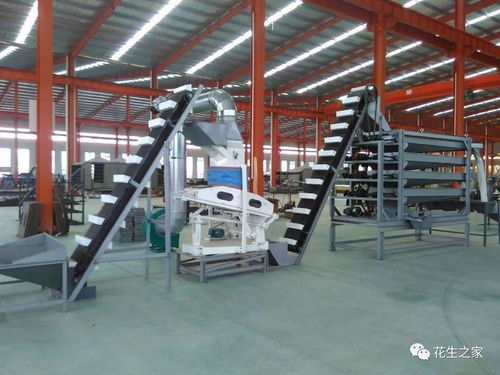 青島楓林花生機(jī)械 專業(yè)機(jī)械設(shè)備，驅(qū)動產(chǎn)業(yè)升級